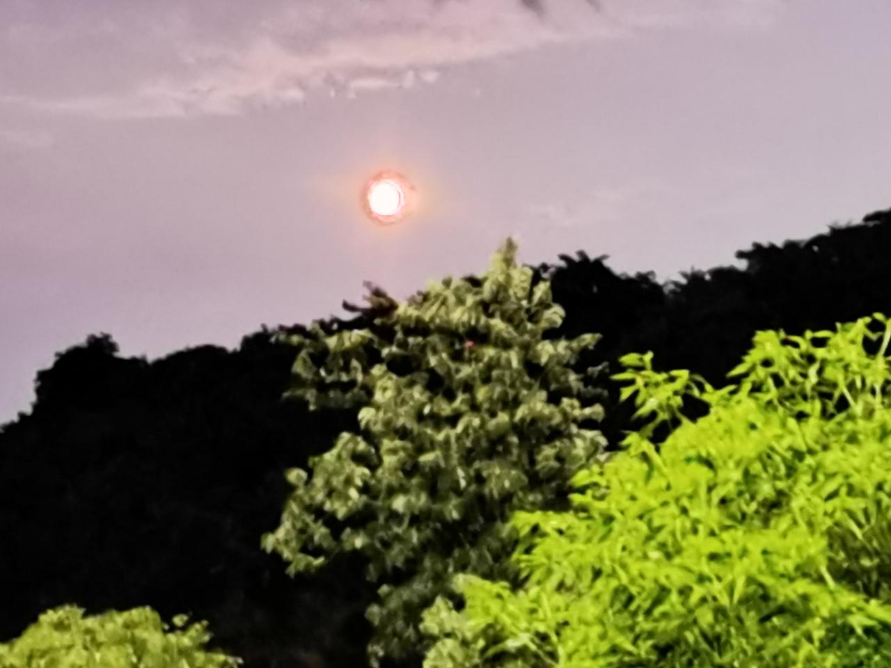 夜深思故友，
月静寄清怀。
 
简赏：
长夜难眠，心念故交；月色安宁，遥托一腔情