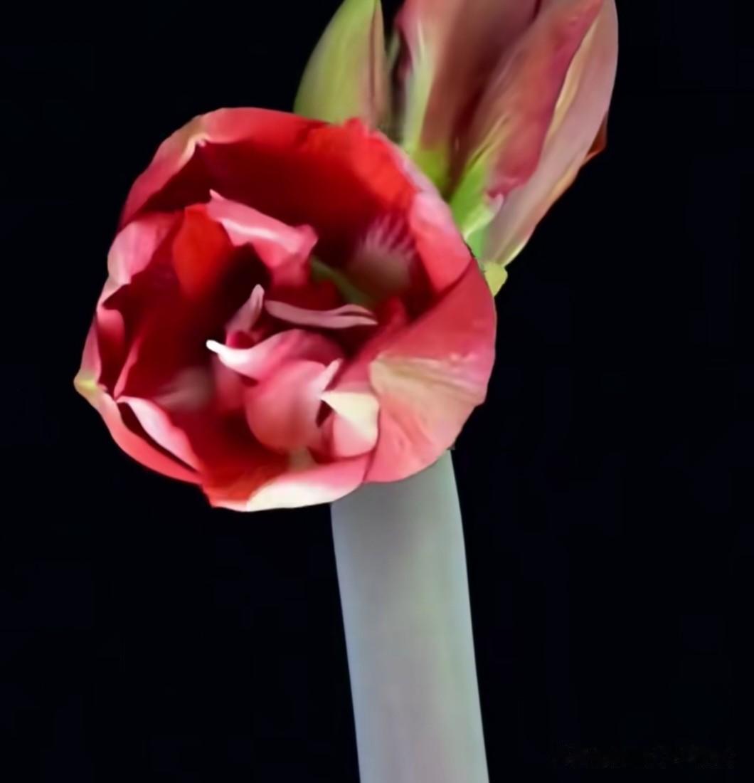 比地狱近10倍的苦境，有人每天都在“造业”却不知？
 
很多人听过“十八层地狱”