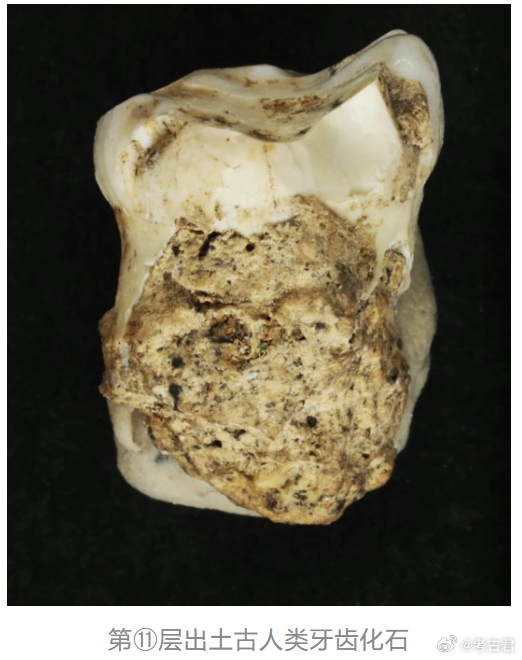 十大考古参评项目 贵州普定穿洞遗址 在贵州普定穿洞遗址，考古揭示了一处连续堆积超
