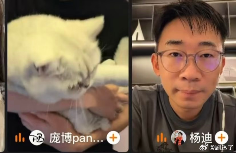 田曦薇说两遍庞博的猫比杨迪头大田曦薇说庞博的猫比杨迪头大庞博把猫抱出来，田曦薇一