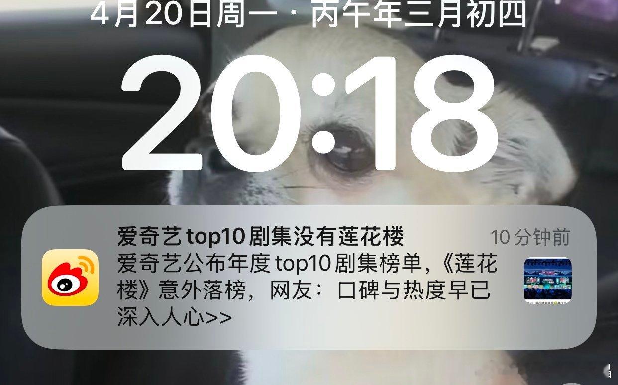 哪里意外了？明明是意料之中。 