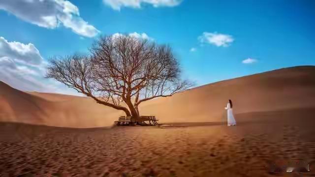 人生如白驹过隙，岁月匆匆而过，我们总在追逐梦想的路上奔波，却常常忽略了最宝贵的财