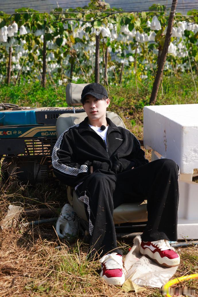 鹭卓喜欢热的地方种啥啥成  被鹭卓在热地方的种植天赋所折服，种啥啥成，考察收获满