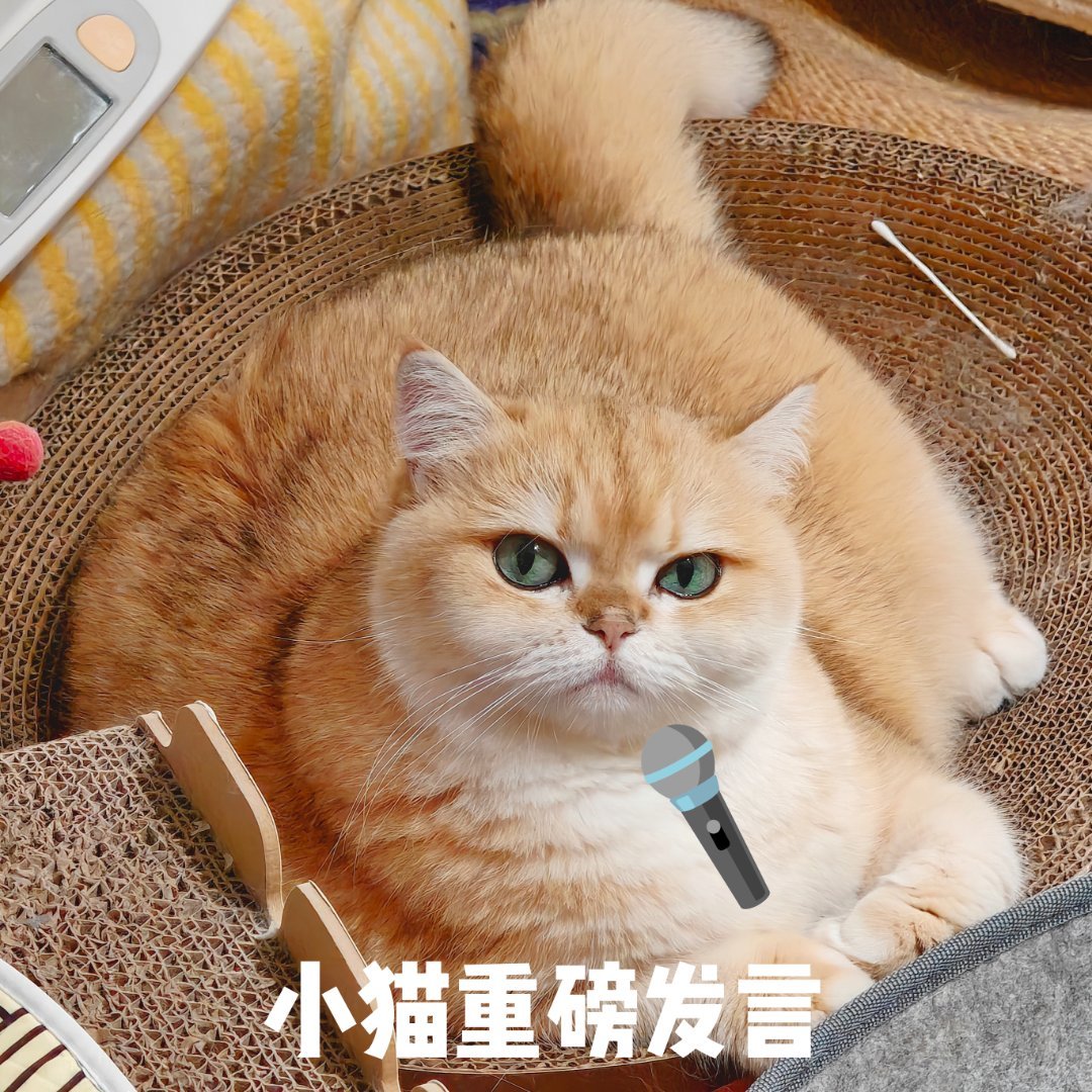 看来大家还是更喜欢看点小屁话