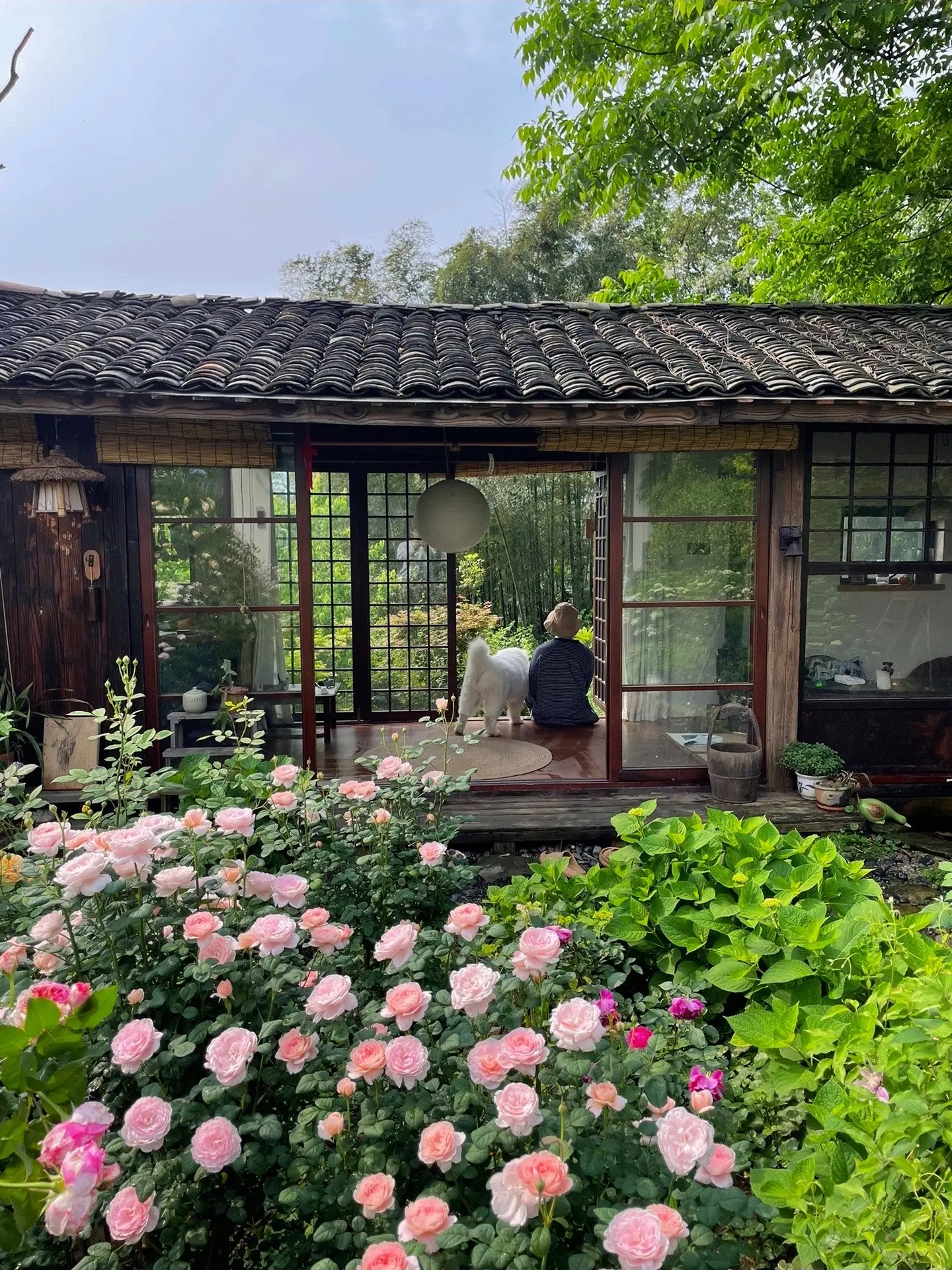 住了5年的家，被喜欢的一切包围着🏠。日复一日，在我的小世界里，自行...