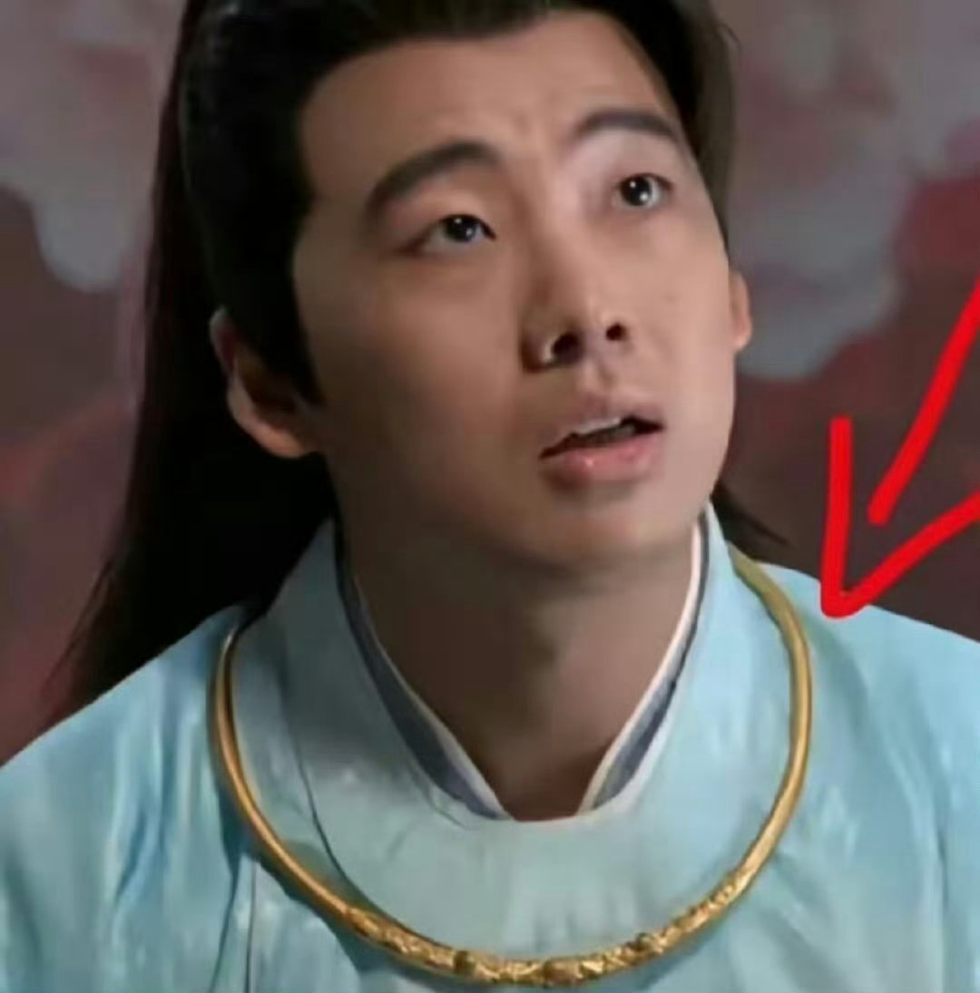 #范思辙为什么要戴项圈#人傻钱多，喜欢赚钱💰金项圈一戴，这富家少爷身份立马丰满