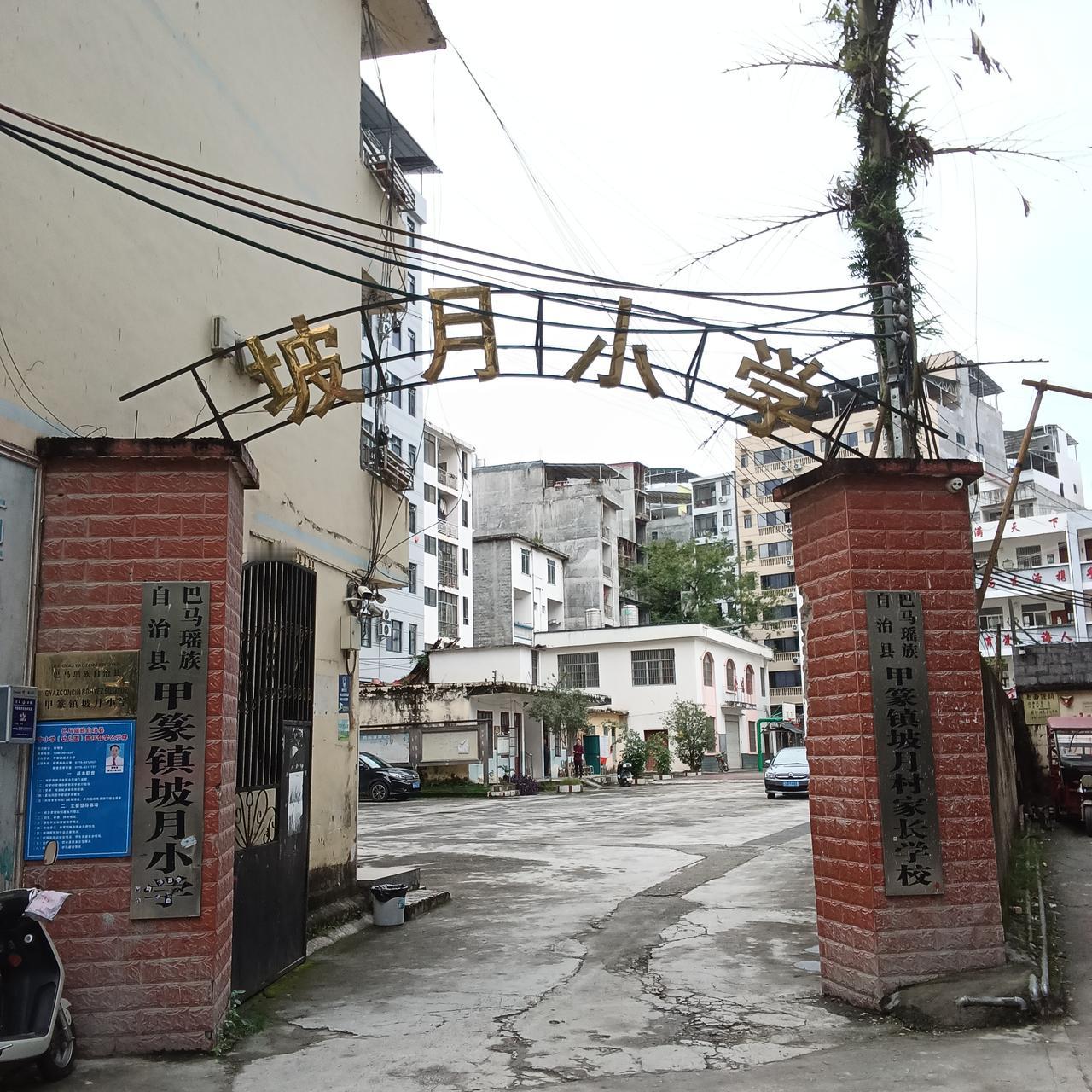 巴马乡村的小学生
多数没有家长接送

今天下午5点，我在巴马坡月街里溜达时，终于