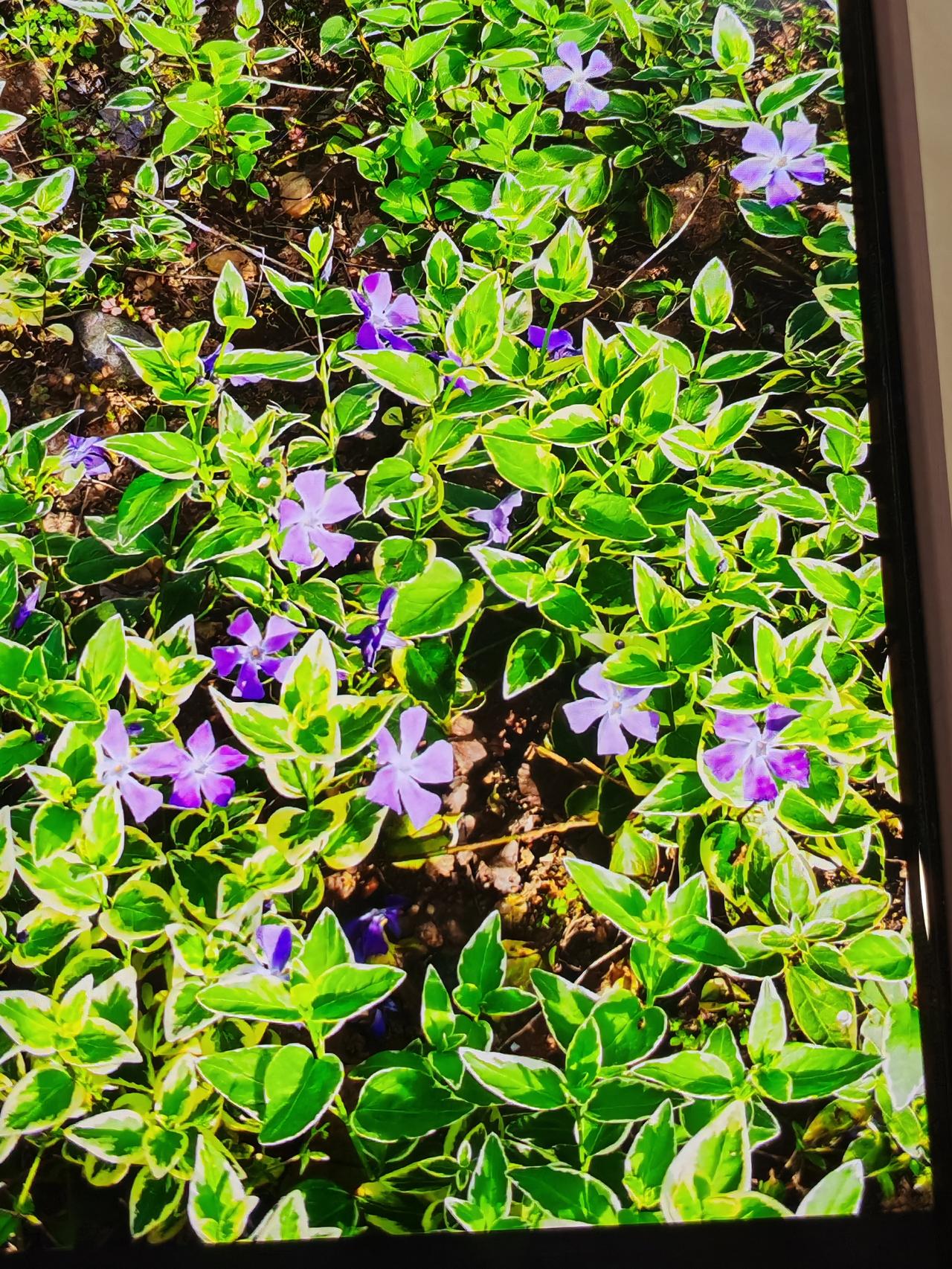 下面的观点太偏激了吧；
1. 女人永远不要让人低成本拥有，一定要打扮，一定要好看