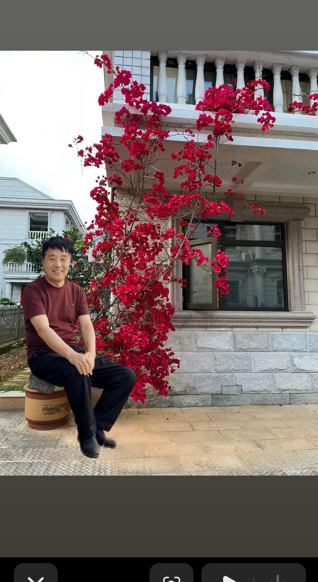 `用相机定格浪漫的春天 用取景框定格樱花盛开 一首歌，一个故事，情感歌曲分享大家