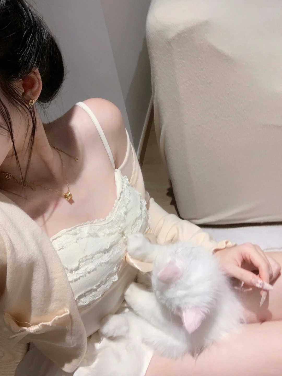 吸猫日记•᷄ࡇ•᷅