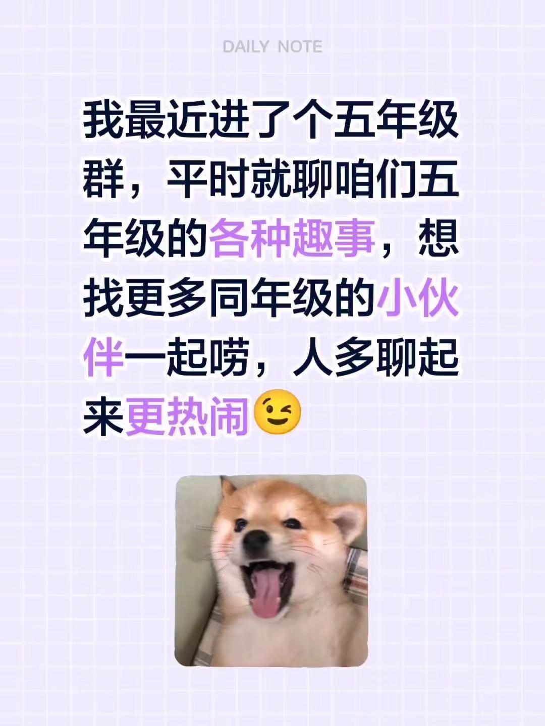 来自@群聊・五年级群：我最近进了个五年级群，平时就聊咱们五年级的各种趣事，想找更
