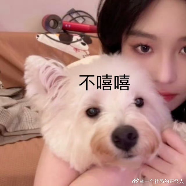 不呆小呆不嘻嘻🐶 