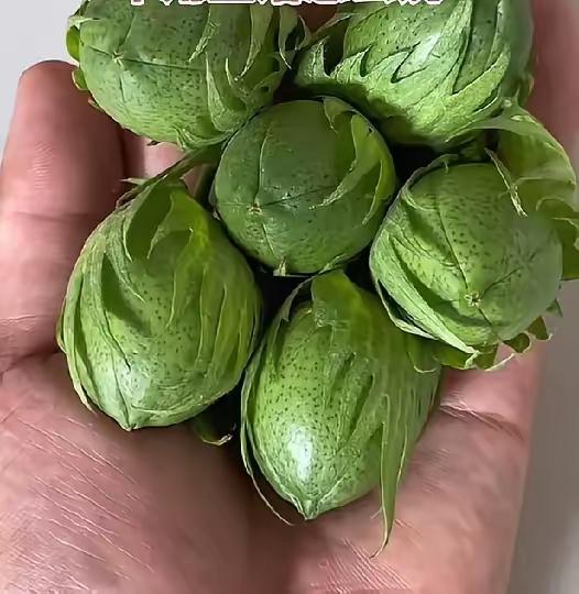 能认识这个的人，证明你已经不再年轻。你们哪方言管这叫啥？