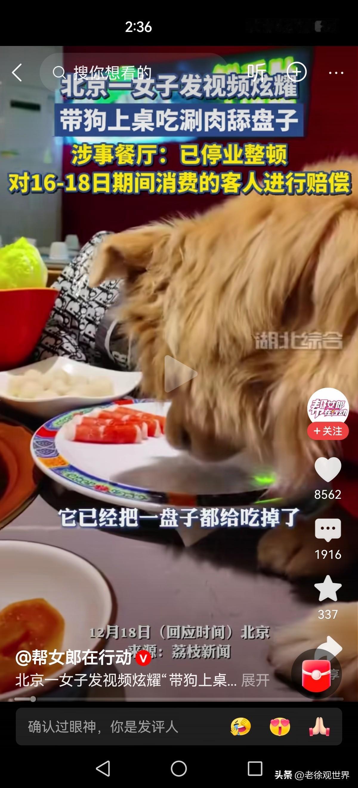 太过分！北京某女子发视频，炫耀带狗子饭店吃涮肉，“它把一盘子都吃光了，正在舔盘子
