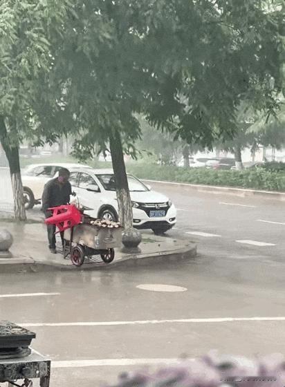 贵州街头，大叔淋雨推车，洋芋掉了一地，他弯腰一个个捡。路人以为他没带伞，有人说他