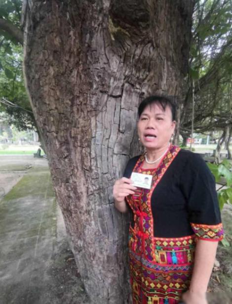 [微笑]海南女子家传百年重阳树价值207万，深夜被人连根偷走，警方找回后交给林业