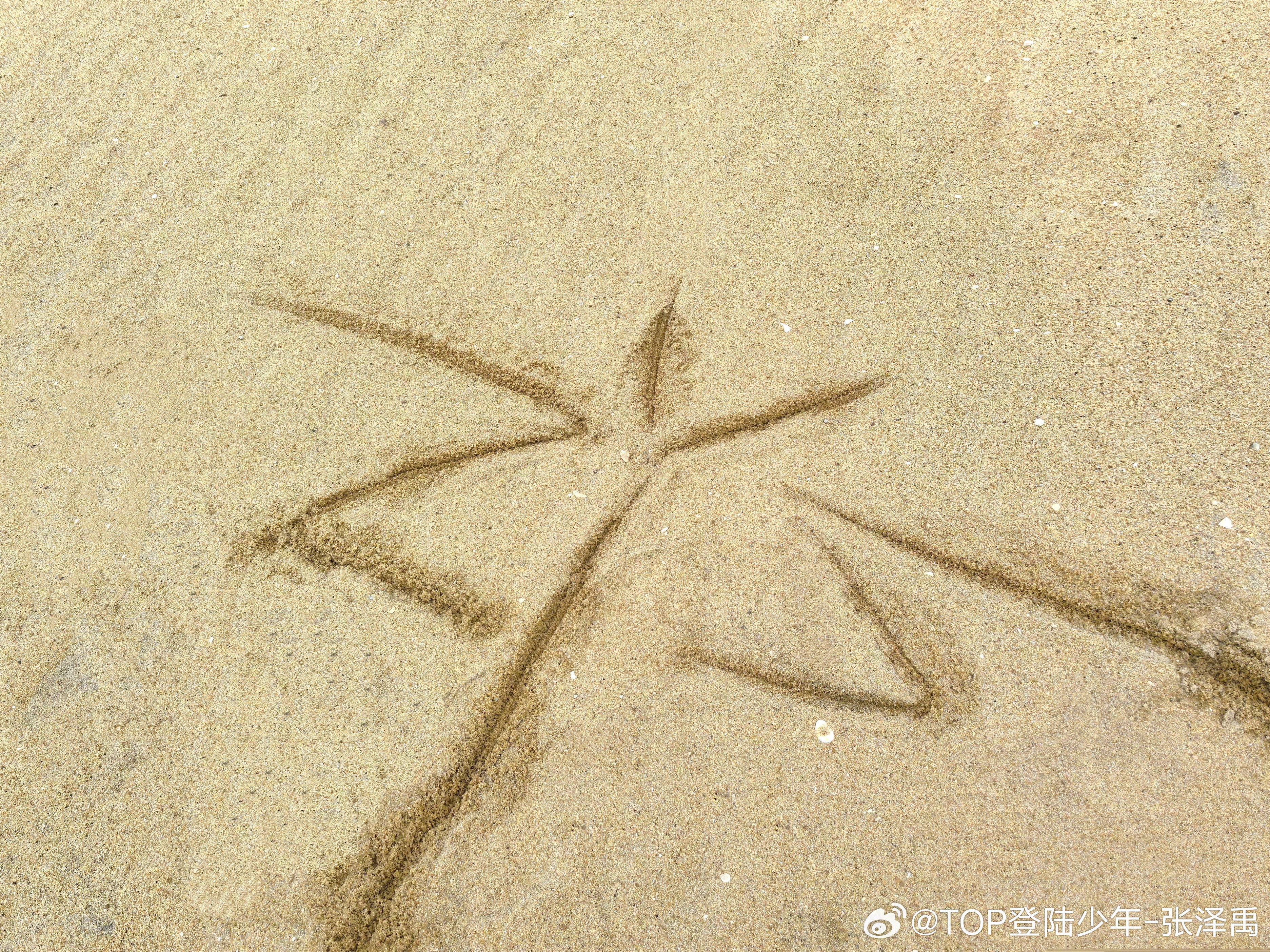 张泽禹用名字缩写画了颗椰树 绝了绝了！张泽禹用名字缩写画椰树，这创意简直无敌，既