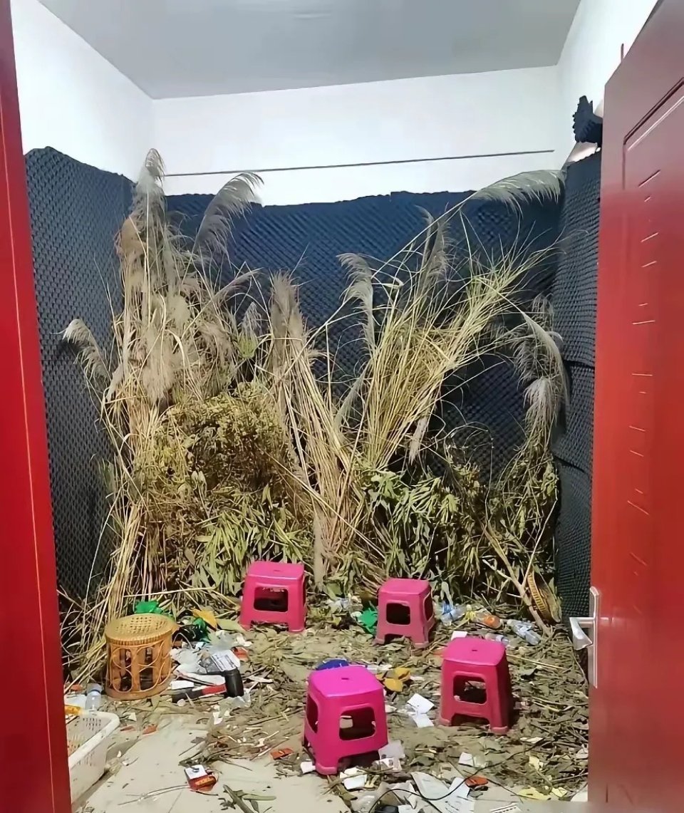 大晚上的，一个人不可能在野外直播，后面黑漆漆的一片，看着很吓人，今天才知道，原来