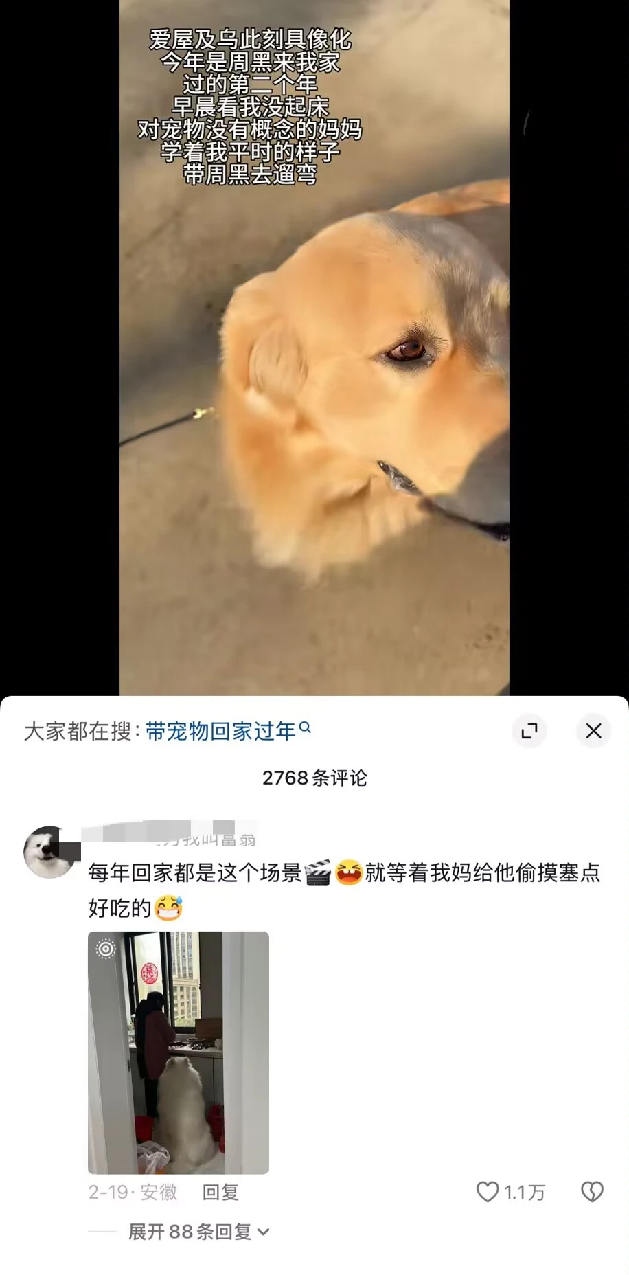 爱屋及乌在此刻具象化了 