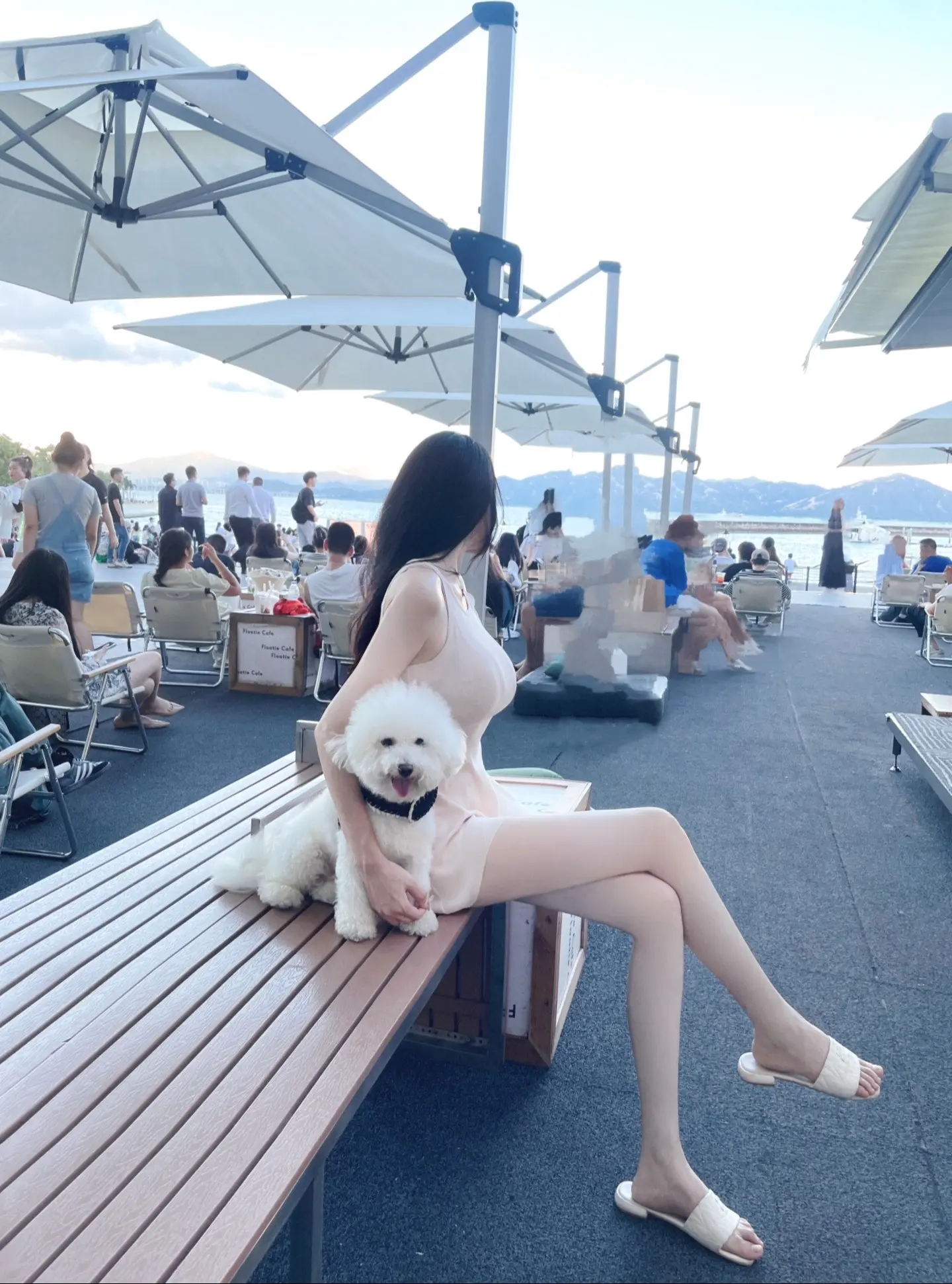 这个世界不能没有小狗🐶。我家毛孩子被围观要合照了哈哈😂