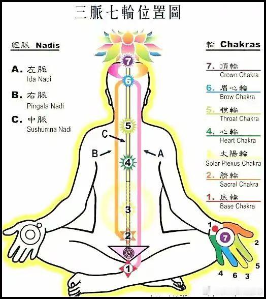 海底轮是七轮中最基础的轮脉，位于人体能量系统最下方的根基位置，作为整个能量系统的