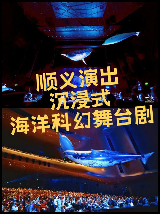 顺义上演🌊奇幻海洋舞台情景剧
