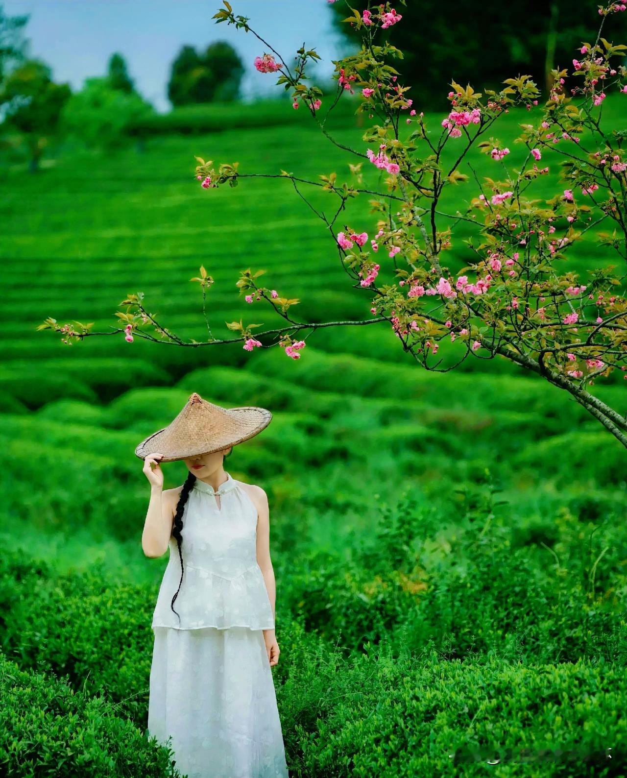 下联：春晚花飞人未归
上联：有请雅士[玫瑰][玫瑰][玫瑰]