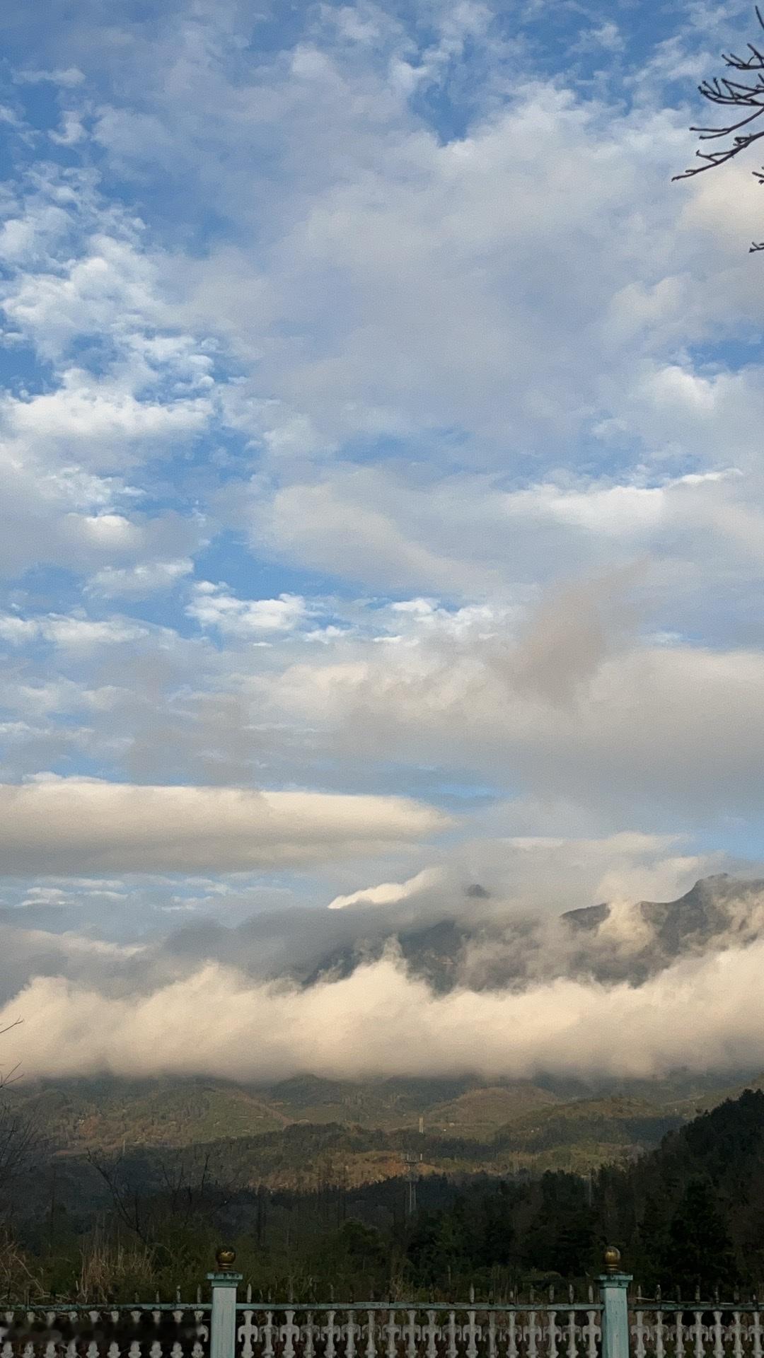 我观察了很久，发现那些活得久、走得远的人，身上都有一种东西——高韧性。

什么叫