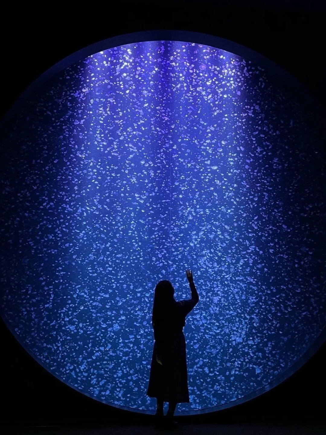 日本｜最梦幻水族馆🔮水母种类堪称世界第一