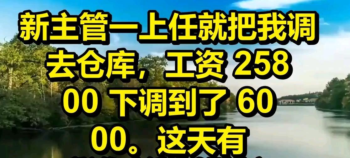 新主管一上任就把我调去了仓库，工资从 25800 下调到了 6000。这天有个客