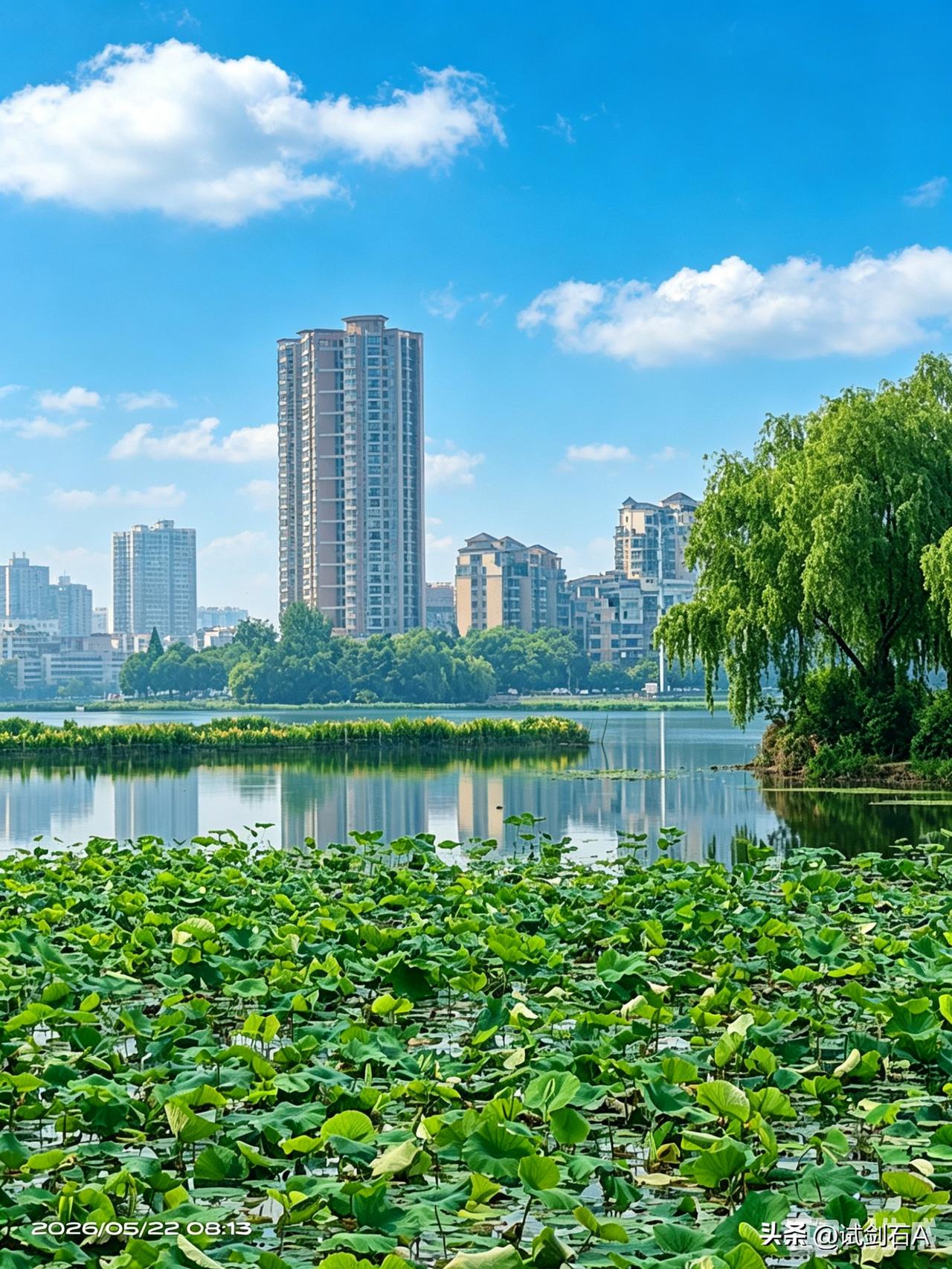 洋澜湖碧水漾清波，湖光山色相映如画。清风拂岸景致温婉，漫步湖畔满眼舒心惬意！