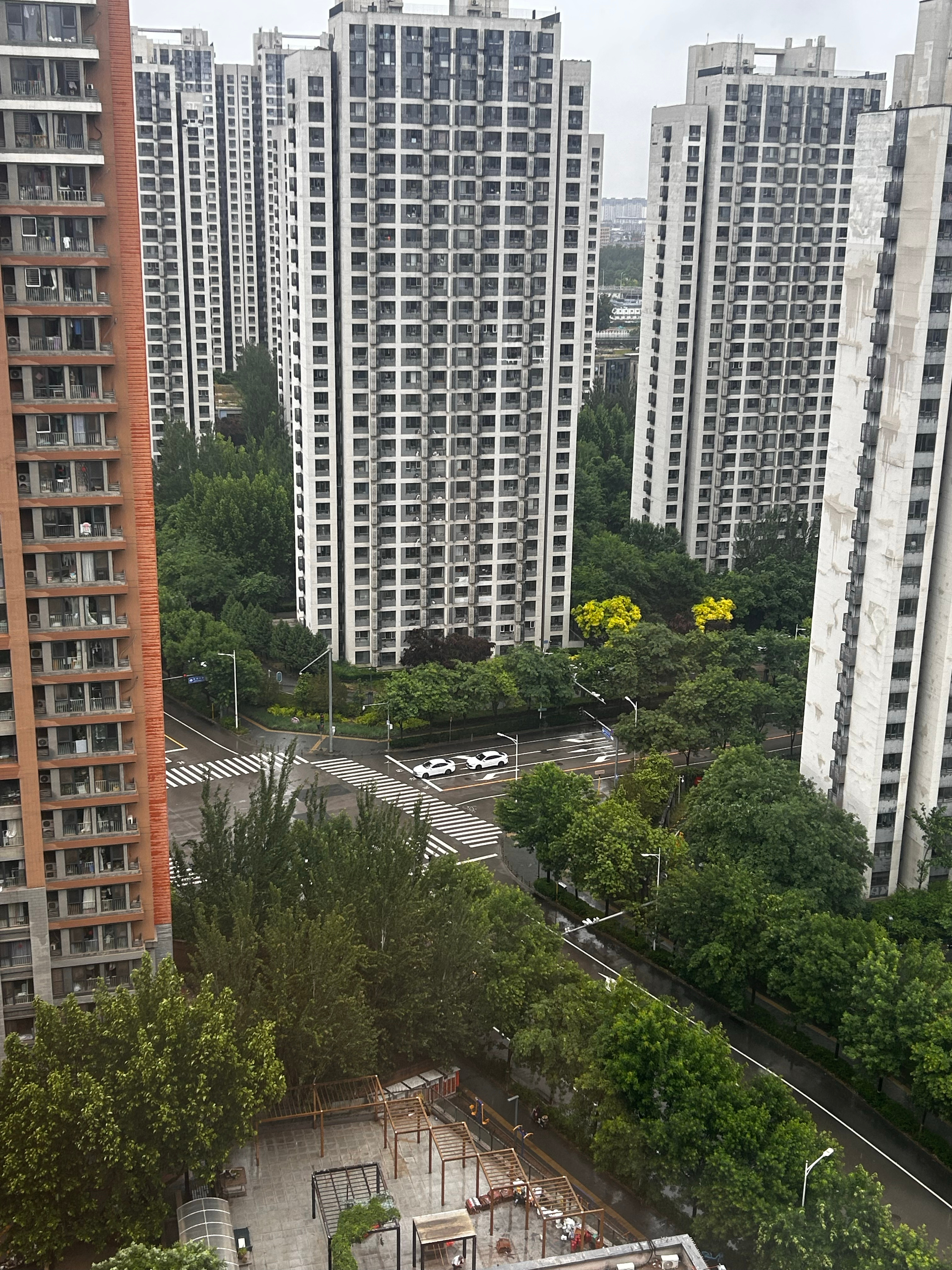 今天一点都不热，温度25.5度，湿度59，温度和湿度，都是我最喜欢的状态。珍惜这