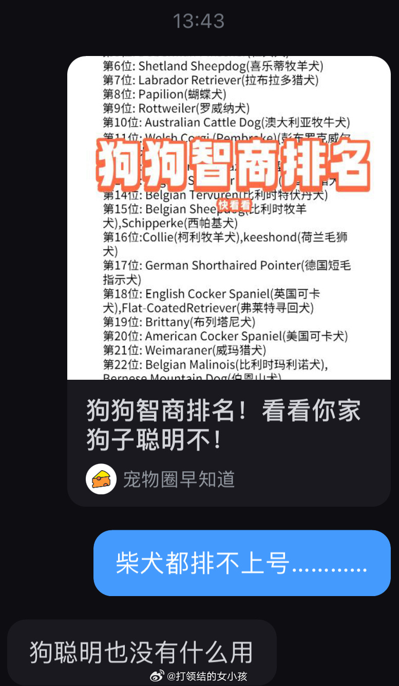 #等灯[超话]# 发现柴犬在狗狗智商排名里没有姓名，灯爸说…… ​​​
