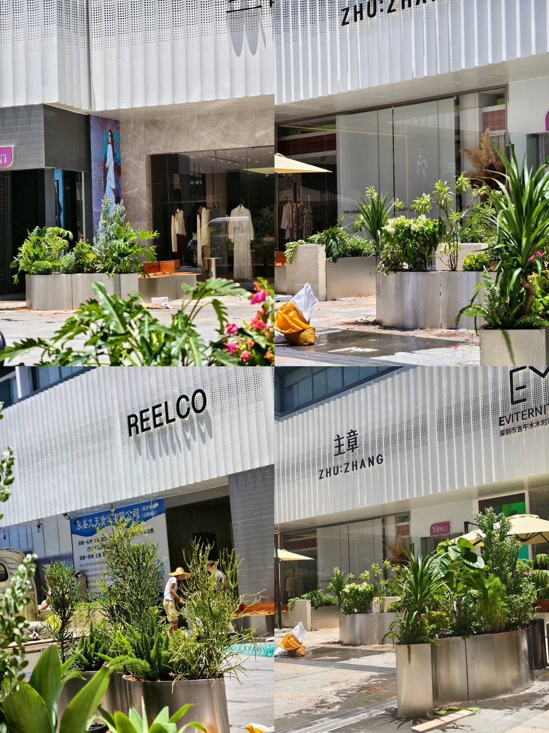 花箱植物景观|深圳绿植