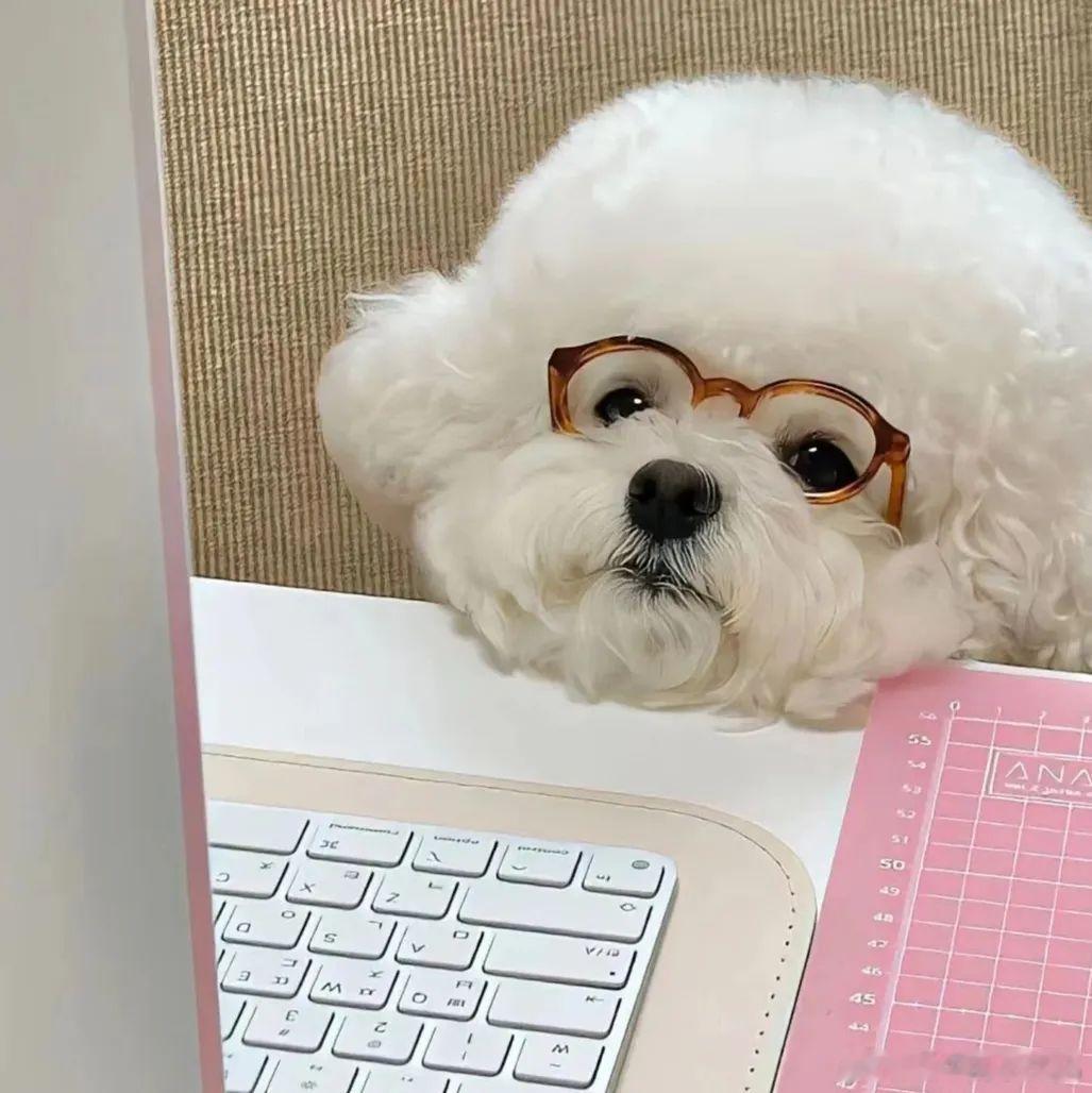 生活就是一件件事情出现，再整体好情绪一件件解决，盘完数据之后，心情好多啦！老婆们