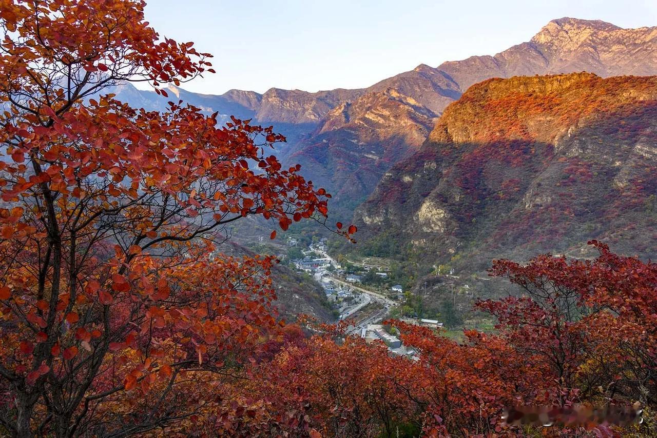 霜降之后就是满山红叶，深秋季节的色彩如调色板一样丰富多彩画意十足！京城郊外的山梁