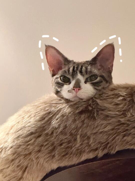 降温不开心💤