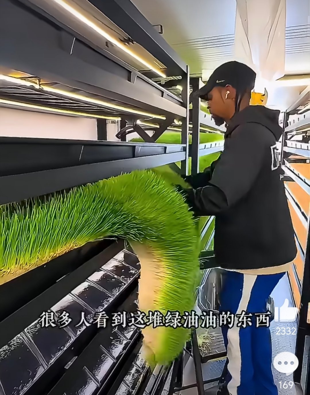 怪不得国外牛肉便宜这不做麦芽糖的原料么