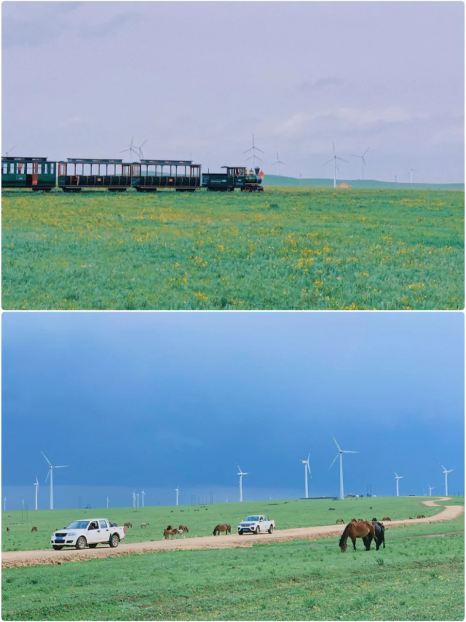 内蒙古｜辉腾锡勒草原🌱黄花沟🌼游玩攻略