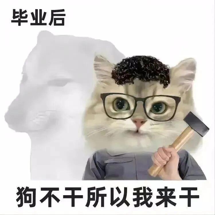 好用表情包合集 ​​​