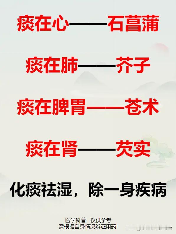 化痰祛湿，除一身疾病！痰在心用石菖蒲，痰在肺用芥子，痰在脾胃用苍术，痰在肾用芡实