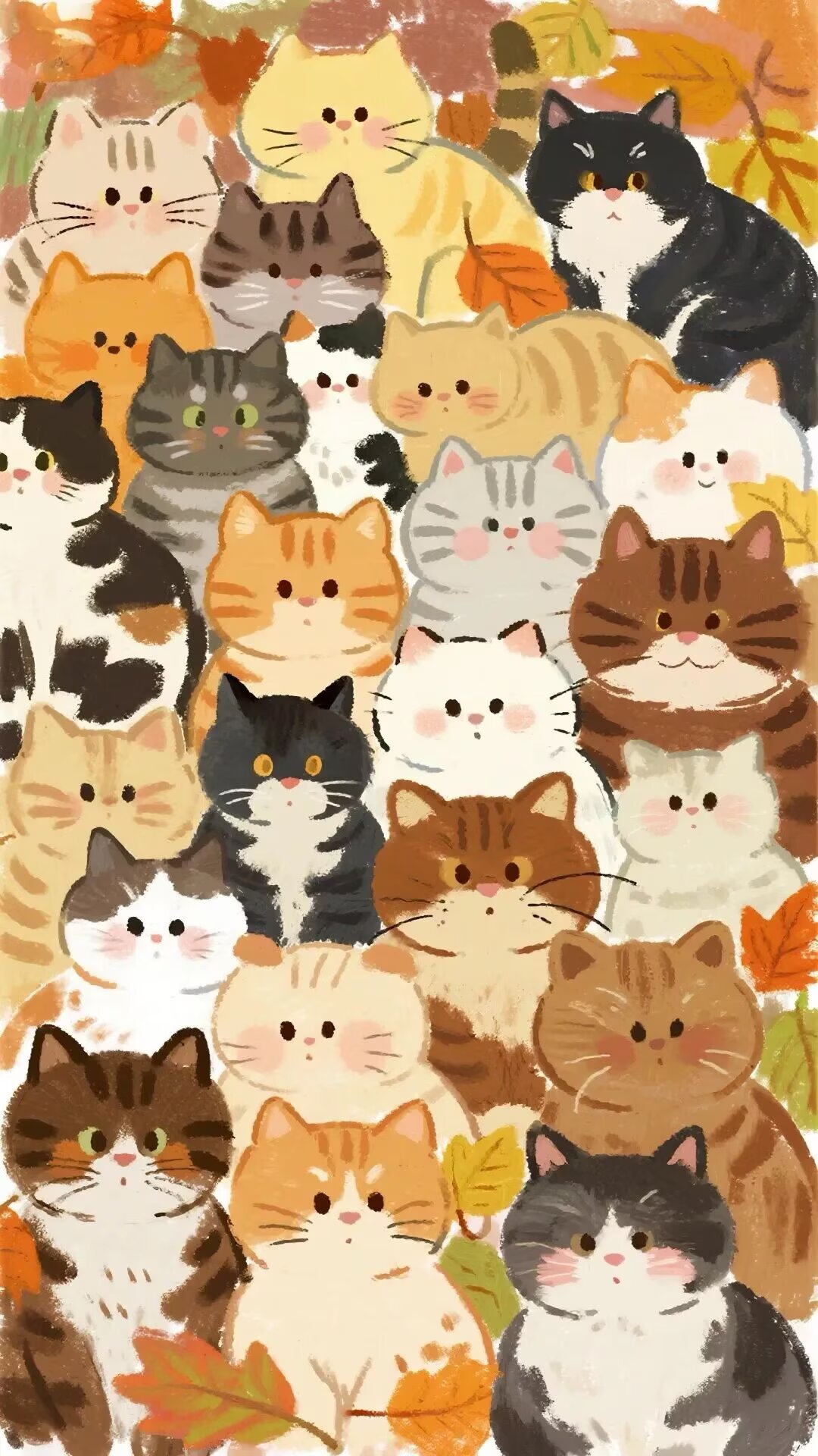 满屏都是猫猫 ​​​