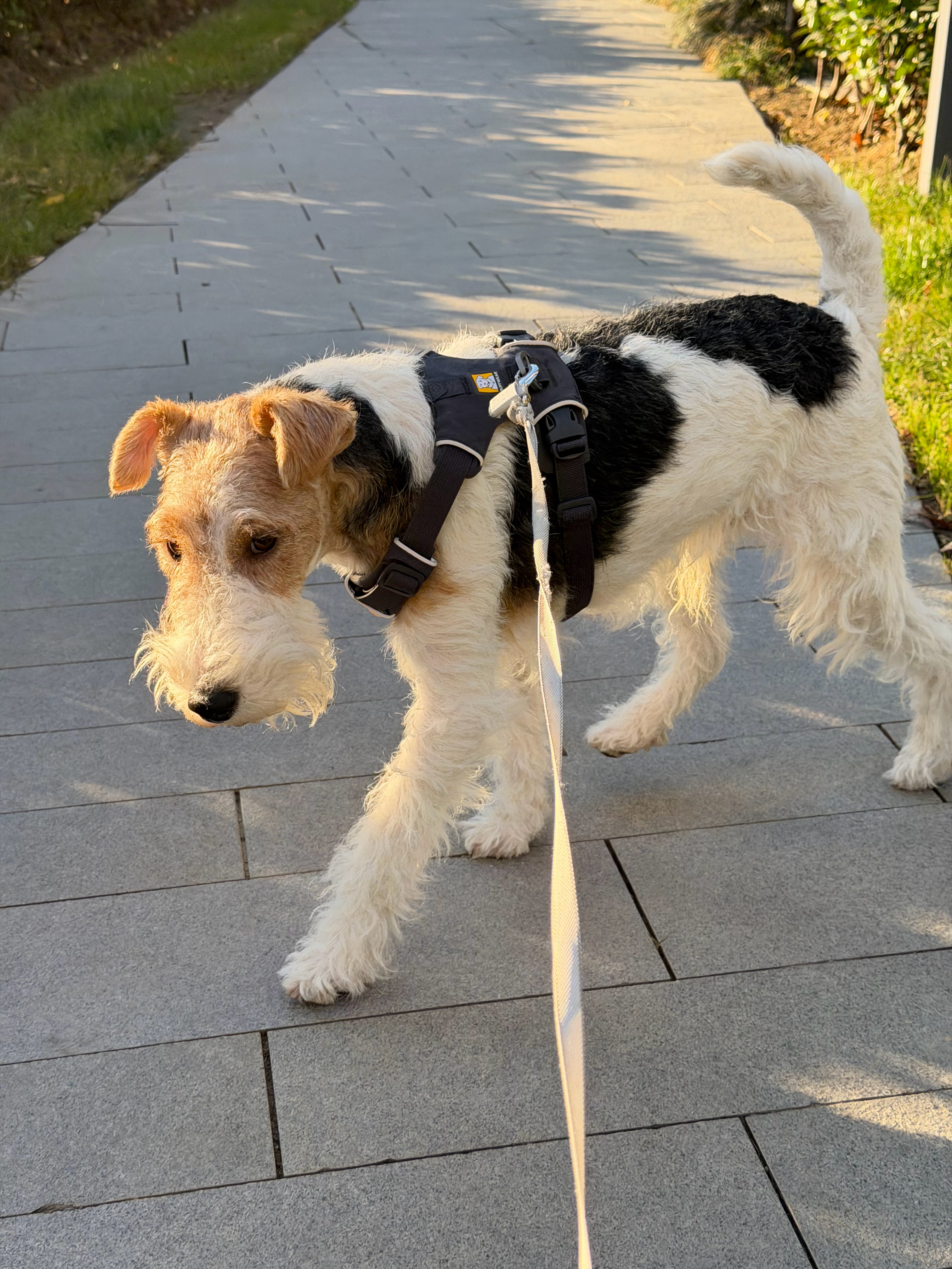 哭了，连续一个月早起，今天睡到10点感觉真好