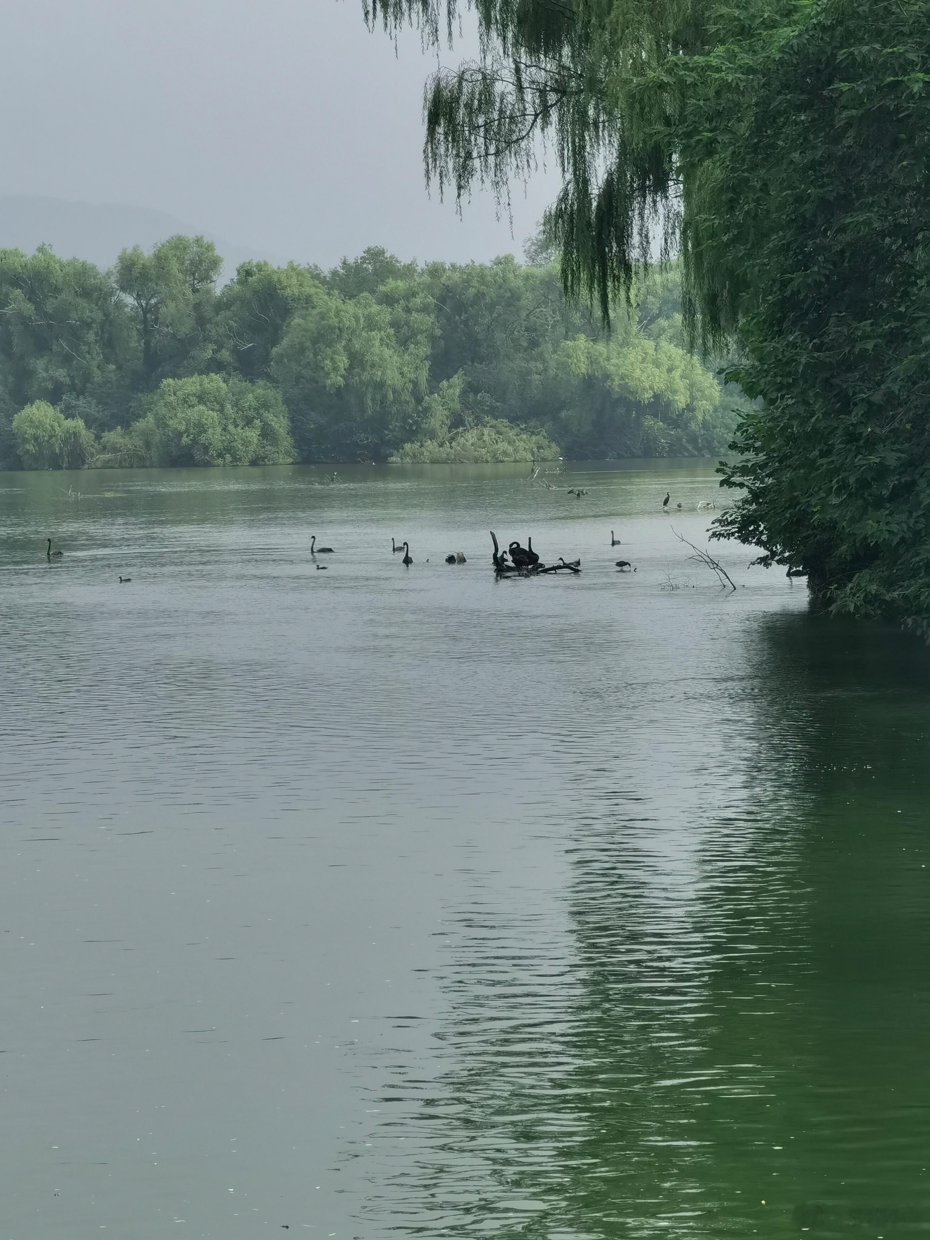 S-以后大家要多互动啊，不能我单向输出。例如我说的方向、我的策略，有啥问题，你们