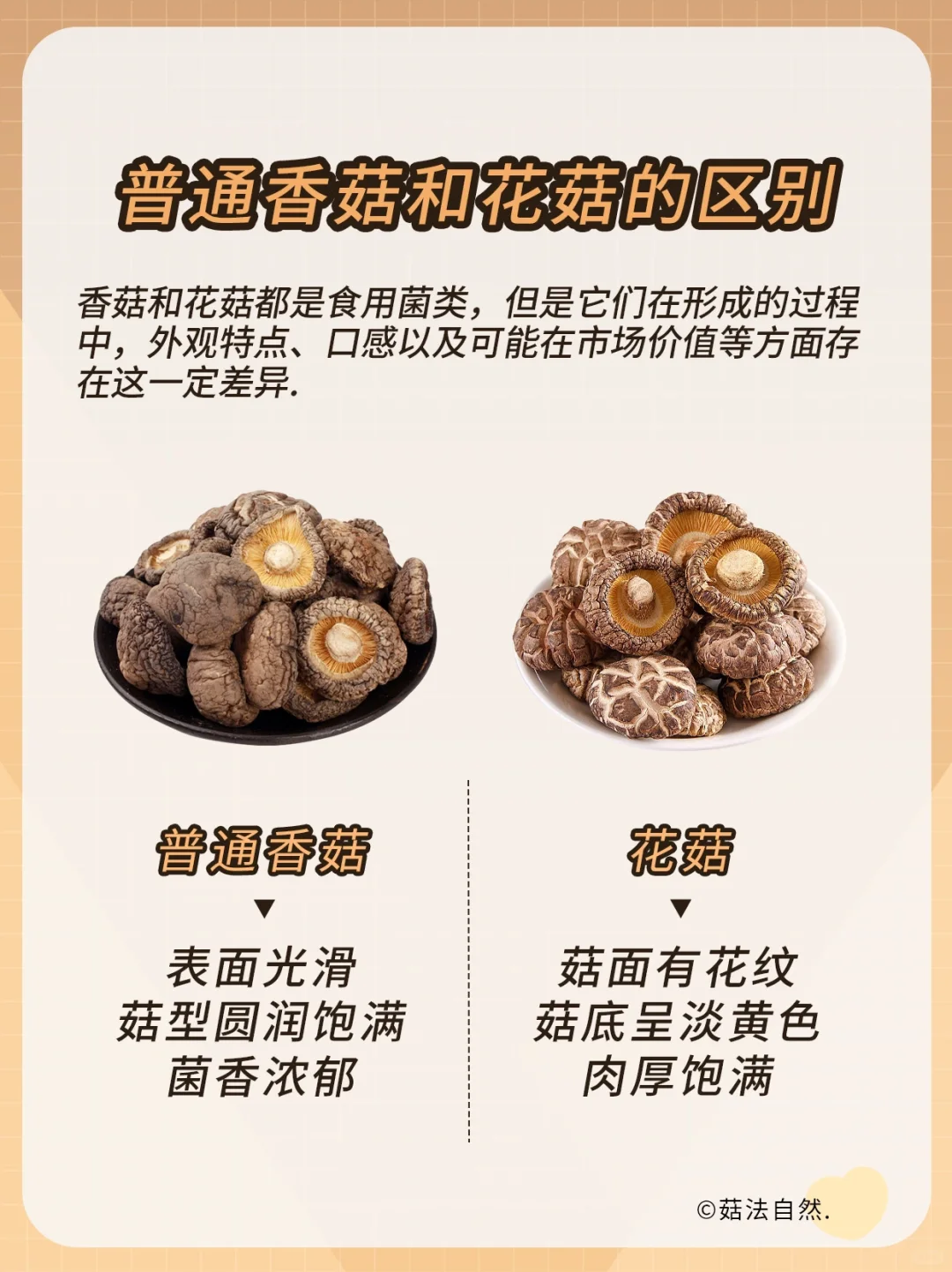 普通香菇和花菇的区别❓