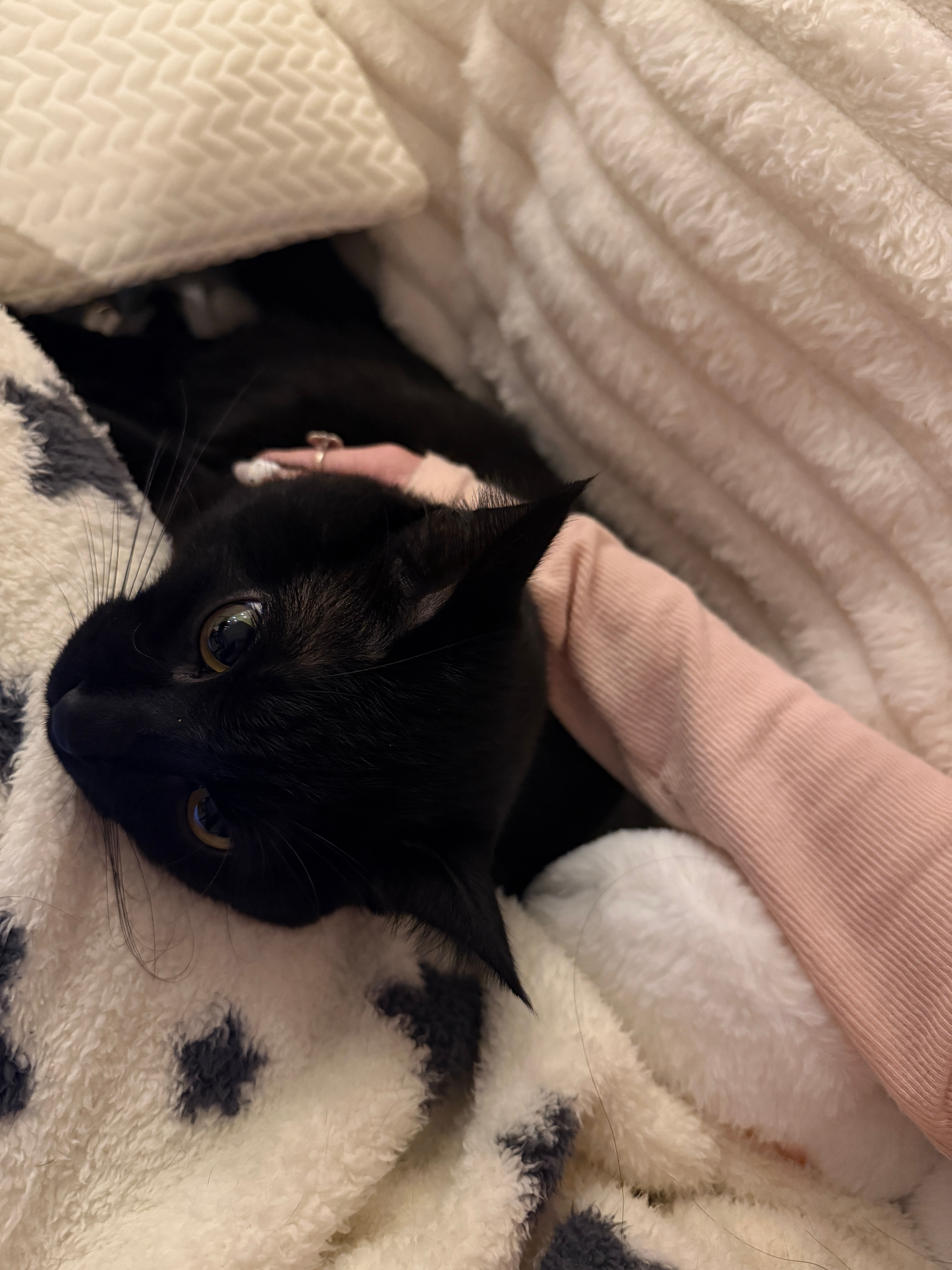 我的日常plog 上海