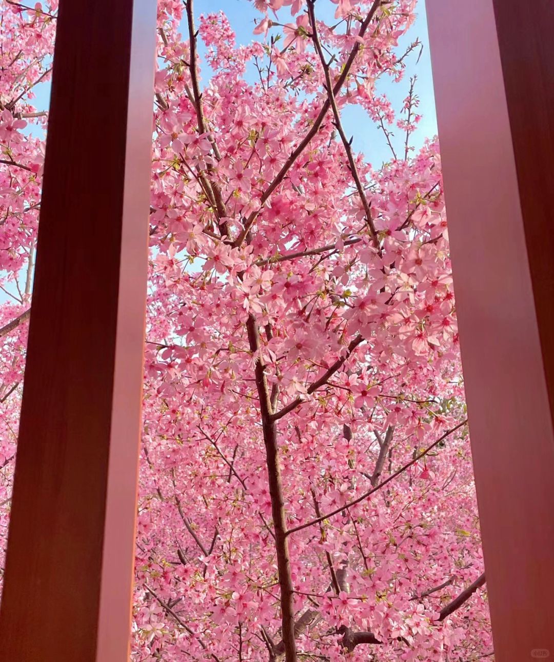 马上去大理啦 怎么玩 听劝！