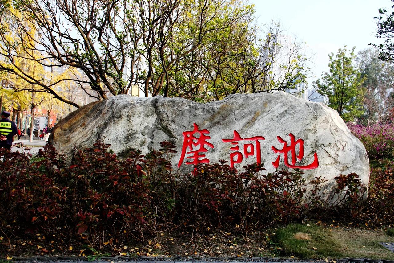 【冬日打卡 摩珂诃池随拍】20241223
12月16日，冬日打卡，摩诃池随拍。