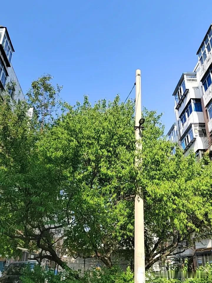我认为应该管
孩子虽然成年了，但经验和阅历还是不行，家长应该负责一下