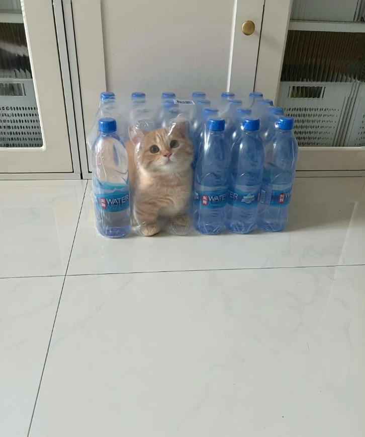 新皮肤：矿泉水小猫 ​​​